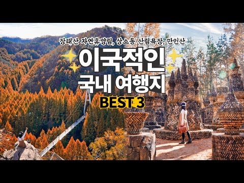 대전 가을 여행 끝판왕🍂 장태산 자연휴양림 메타세콰이어길, 상소동 산림욕장 돌탑 단풍 명소, 만인산 자연휴양림 봉이호떡