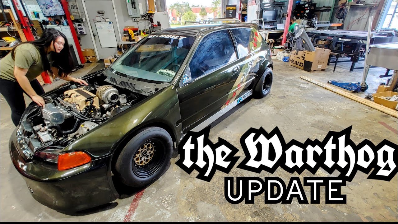 the WARTHOG update - YouTube