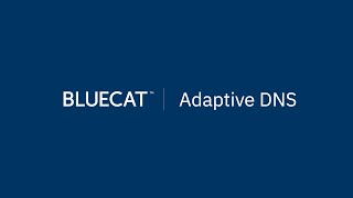What is 'BlueCat Adaptive DNS'?