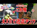 【爆笑】色塗り隠れんぼ:ネズミになって厨房の残飯を漁ってみた結果ww【めっちゃカメレオン】実況プレイ