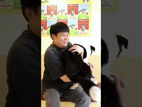 Video10