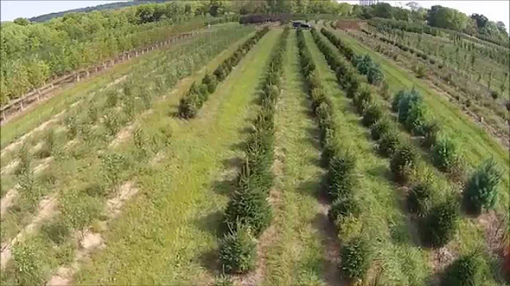 Piers Morgan Displays His Math Skills On Fox News