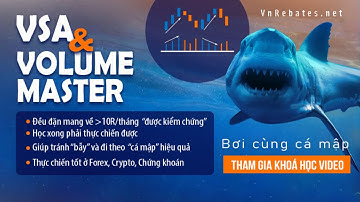 Khóa học video VSA + Volume  Master - Bơi cùng cá mập của VnRebates có gì?