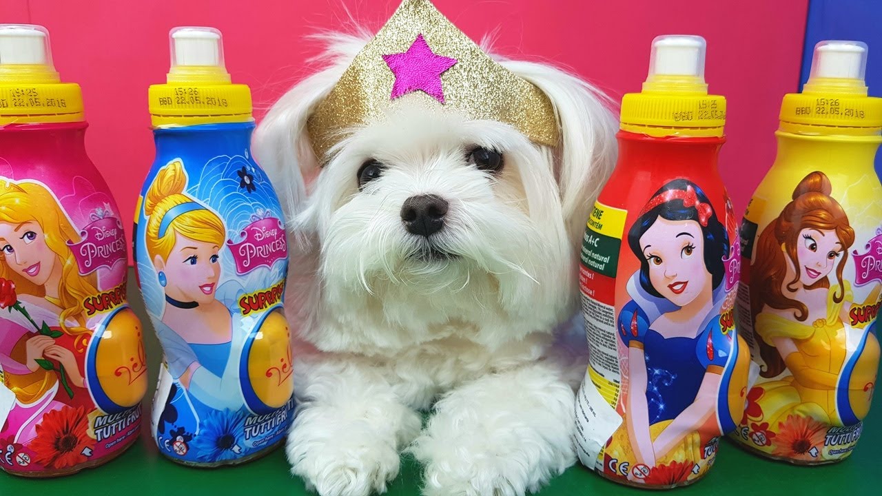 Suco Das PRINCESAS IMPORTADO Hungria Experimentando