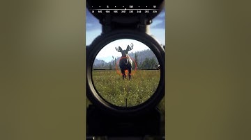 WAY OF THE HUNTER - Bow Moose Heart Shot