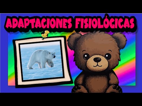 Las adaptaciones fisiológicas