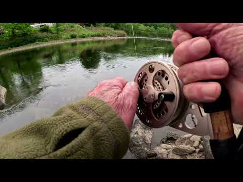 Trout fishing mid May 26