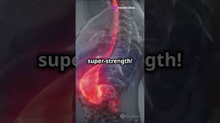 Mind-Blowing Facts About the Human Body You Didn't Know! #facts #youtubeshorts #humanfacts #youtube Mind-Blowing Facts About the Human Body You Didn't Know! #facts #youtubeshorts #humanfacts #youtube