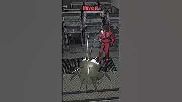 The Joy of a Hoarding Bug in Lethal Company