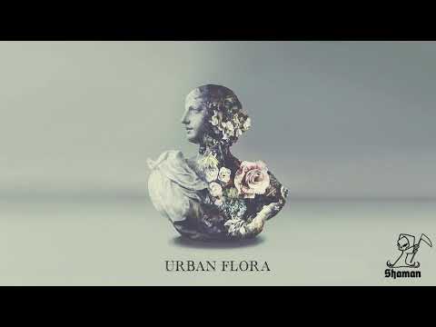 Alina Baraz & Galimatias - Pretty Thoughts