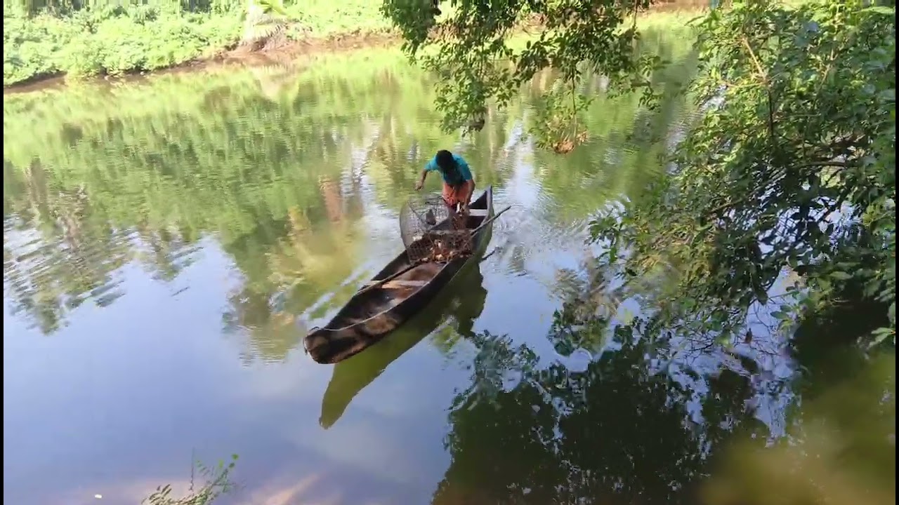 മീൻ എടുത്താലോ?!#riverfishing#rivervibe#rivervdo#fishing#viralvdo#kidsfishing#kids#kolthuruthivlog#