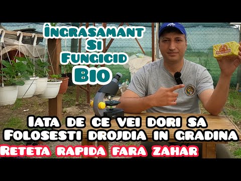 Video: Ce îngrășământ să folosești?