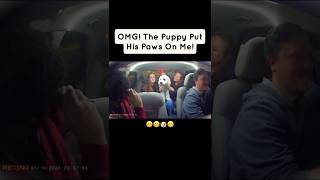 Download Lagu These Passengers LOVE Marshmallow! MP3