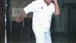 Fu Style Dragon Palm Bagua