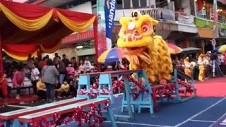 Atraksi Barongsai di Pontianak, Cap Go Meh 2017