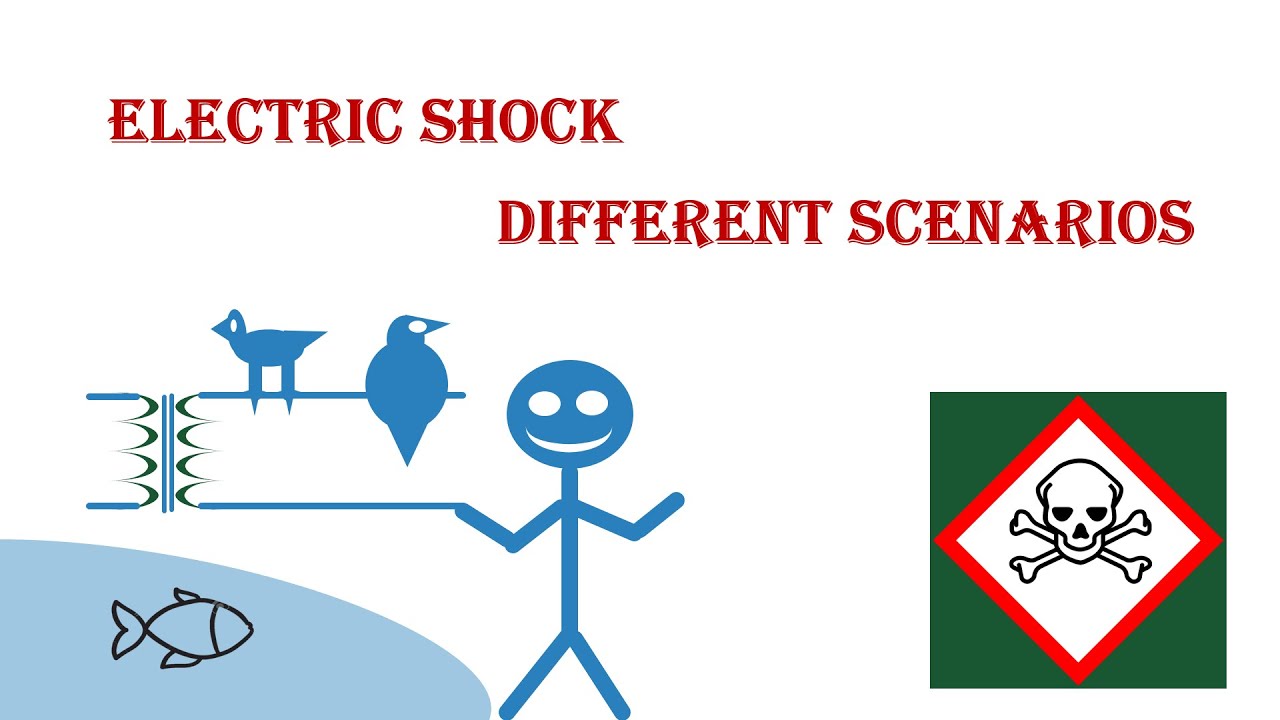 What Happens When Humans, Bird Or Fish Touches Electric Wire? Electric Shock,Explained!