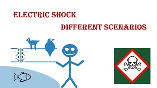 What happens when humans, bird or fish touches electric wire? Electric Shock,explained!