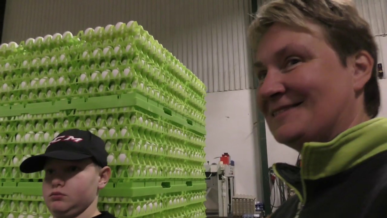 Hugo besöker Eknegård