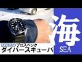 【ダイバーウォッチ】アウトドア最頑丈時計 SEIKOプロスペックスSBDC031