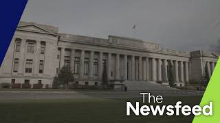 Five of the nine WA Supreme Court seats are on the ballot this year | The Newsfeed