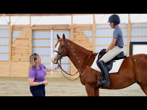 How to Ride the Posting Trot: Free Online Workshop with Wendy Murdoch