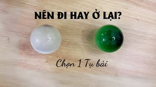 Nên Đi Hay Ở? - timeless #tarot #chọntụbài