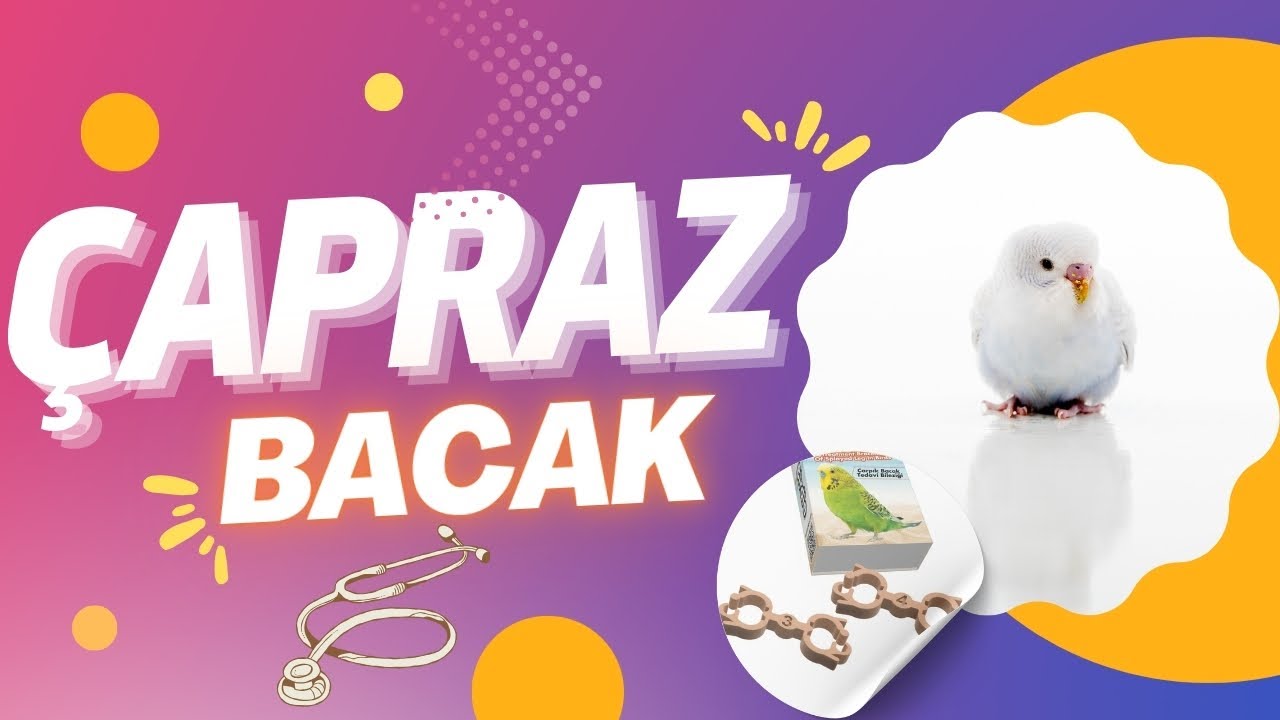 Çarpık Bacak Rahatsızlığı ve Tedavisi (Bandy legs)