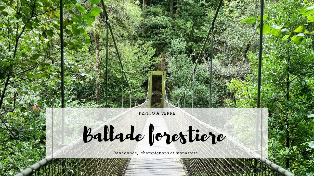 Ballade forestière - de La Corogne à Fragas do Eume