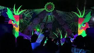 Erf- Live Spring Ritual 2021 Turkey