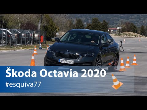 Škoda Octavia 2020 - Maniobra de esquiva y eslalon | Km77.com