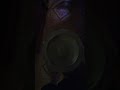 🔦🔦