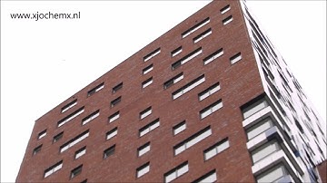 Gierzwaluwen bij Nimbus, 18 mei 2017