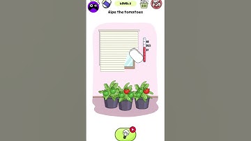 Delete Puzzle level 2 gameplay walkthrough | All levels | android, iOS mobile | new update#short