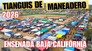 El Tianguis Mas Grande en Maneadero, Ensenada | Baja California 2026