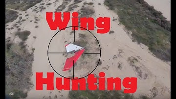 FPV Racing Drone hunting FliteTest mini arrow. Lantian LT-210, RMRC Goby 180, RaceFlight