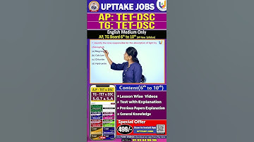 TET & DSC 2024 #aptet2024 #dsc2024 #Tgtet #tgdsc #upttakejobs