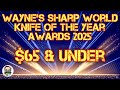 BEST KNIVES OF THE YEAR 2025 For 65 Or Less
