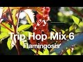 Trip Hop Mix #6 | Flamingosis Exclusive | Music to Help Study/Work/Code