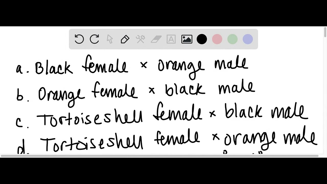 In cats, there is a coat color gene located on the X chromosome. This