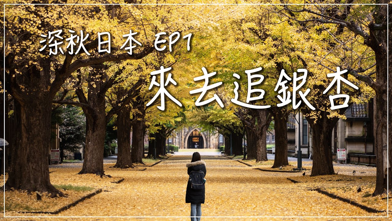 [深秋日本] EP1 來去追銀杏｜東京大學、明治神宮外苑、代代木公園、明治神宮