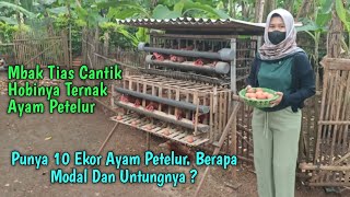 Cantik Cantik Hobi Ternak ayam Petelur Rumahan 10 Ekor. Berapa Modal & Untungnya ?