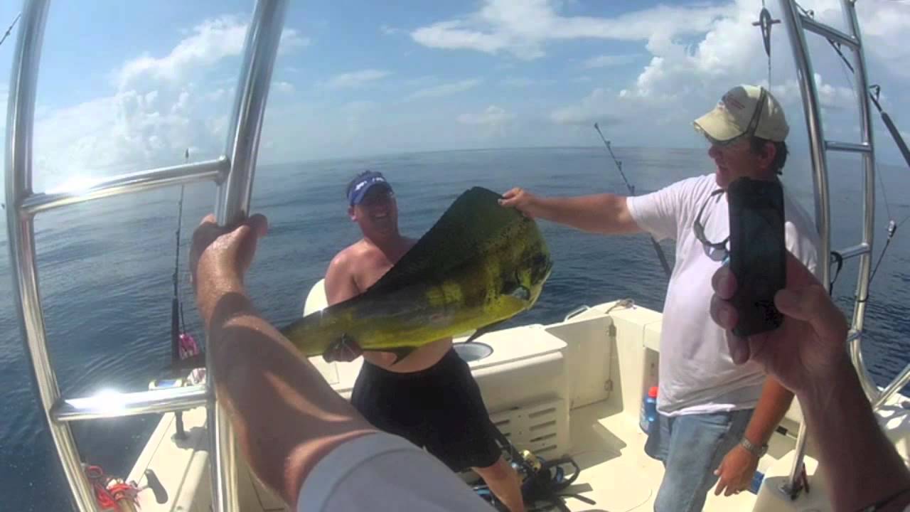 Big Texas Yellowfin Tuna on the Chase This! YouTube