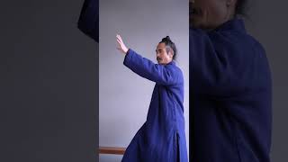 Master Yuan Explained The Difference Between Wuji, Taichi And Liangyi Gongfu