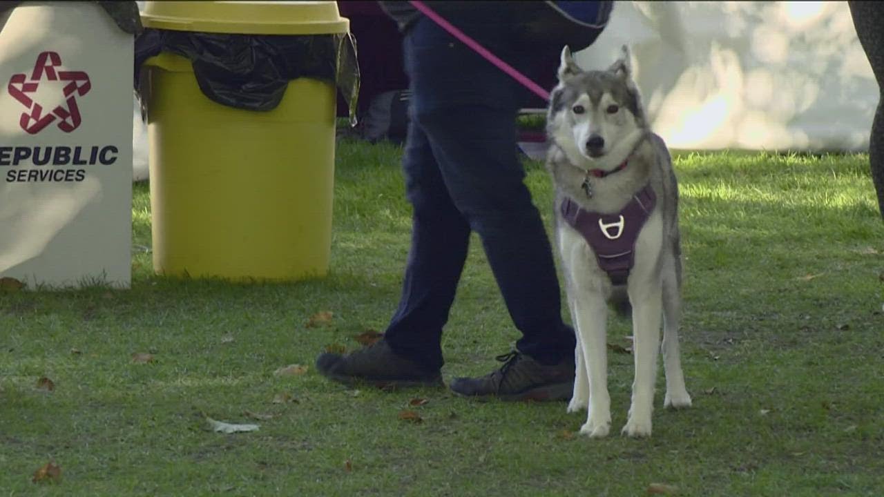 Idaho Humane Society holds dog walk fundraiser