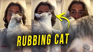 Cat Loves Rubbing Itself Against Owner as He Stares at the Camera