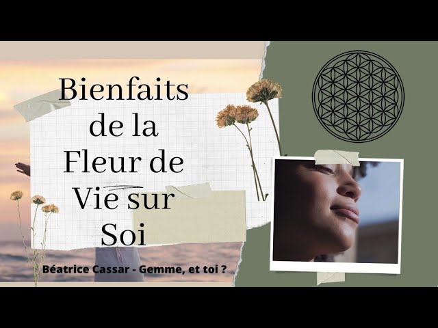 Fleur de vie : Dessine et explore la signification de ce symbole sacré avec  mon tutoriel pas-à-pas vidéo gratuit 