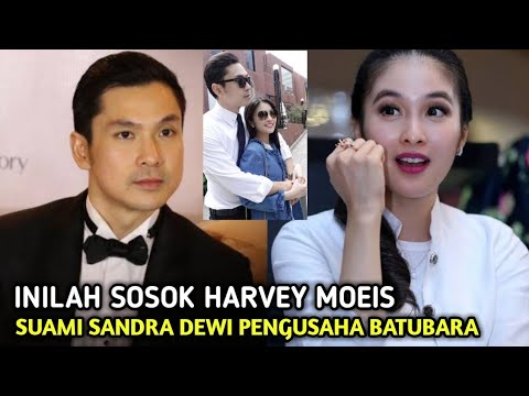 BUKAN SEMBARANG PRIA! INILAH PROFIL HARVEY MOEIS, Suami Sandra Dewi Pengusaha Batubara Di Indonesia