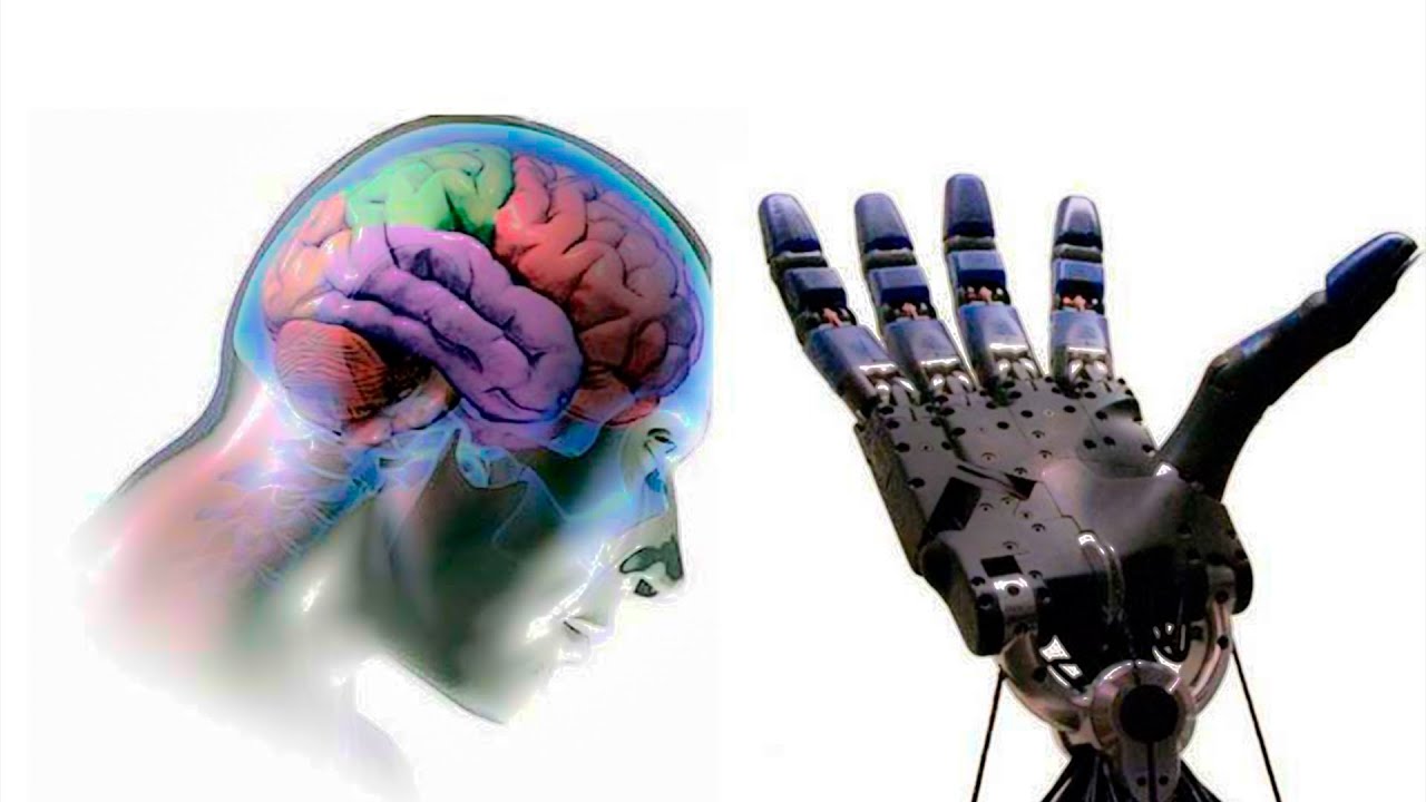 управляющая система мозг