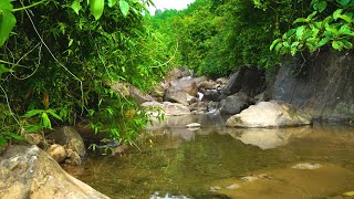 The sound of the forest, the birds singing,the peaceful mountain stream, pleases people