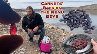 Beginners Luck: My First Big Garnet Haul in Montana
